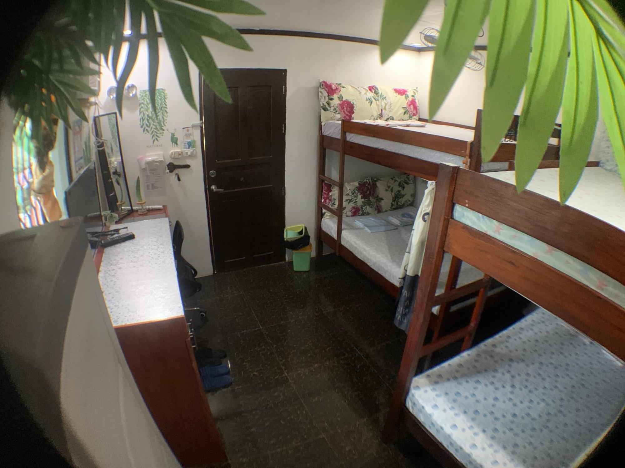 Jml Homestay General Luna  Exterior foto